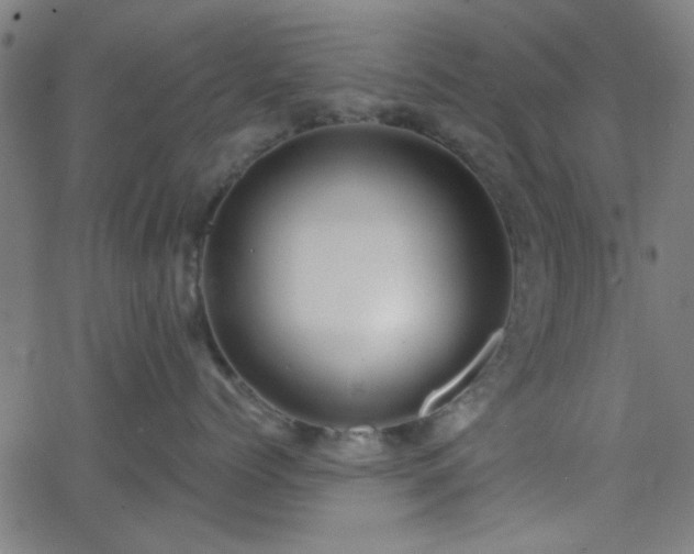 X0000068750768200605010936