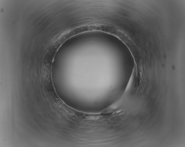 X0000068750773200605010935