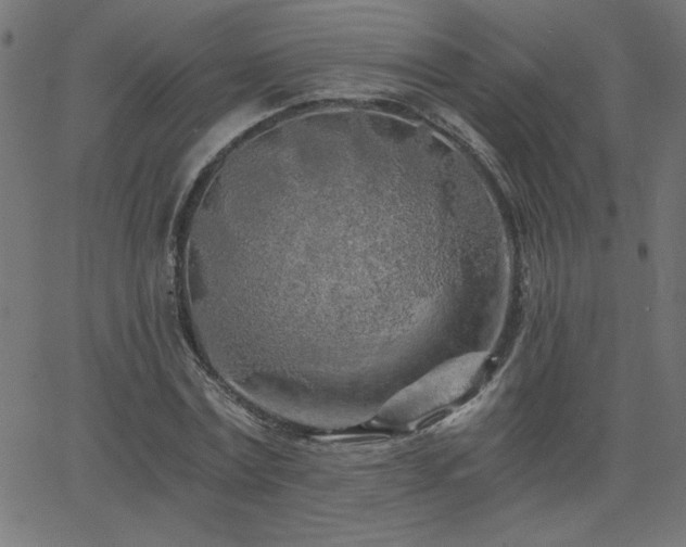 X0000068750779200605010935