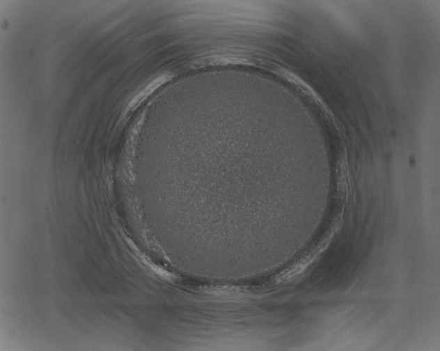 X0000068750785200605010935