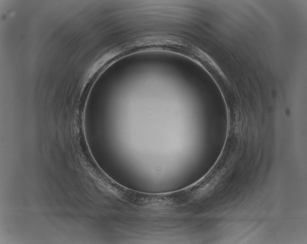 X0000068750786200605010935