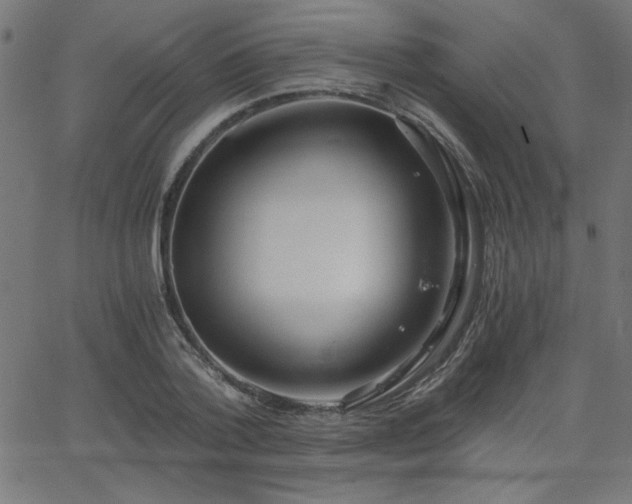 X0000068750788200605010935