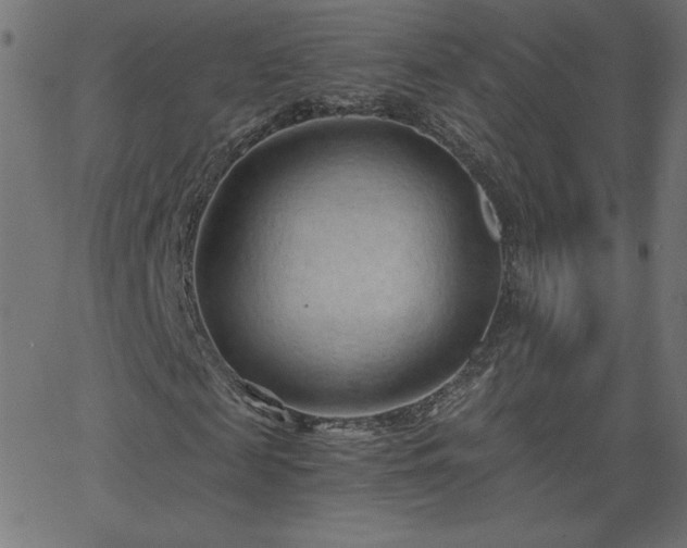 X0000068750817200605010934
