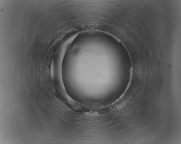 X0000068750818200605010934