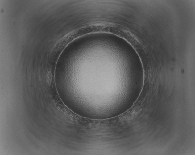 X0000068750821200605010934