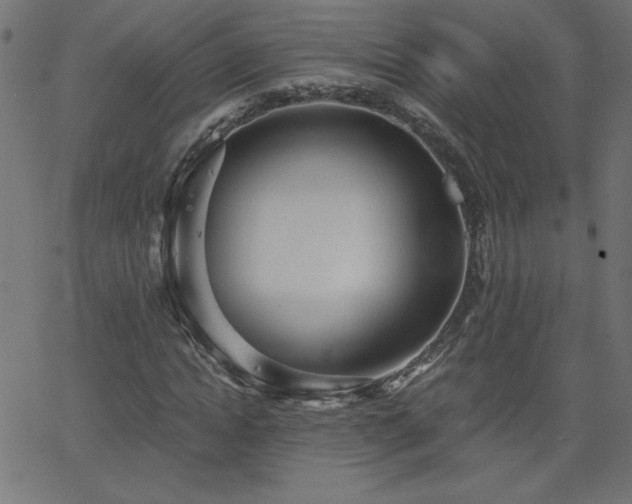 X0000068750822200605010934