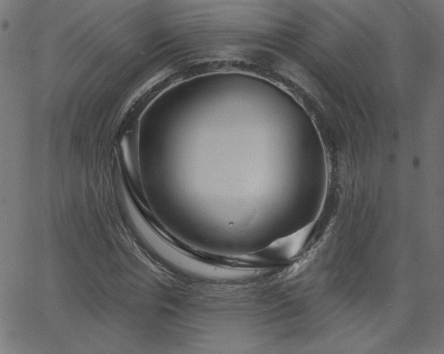 X0000068750826200605010934