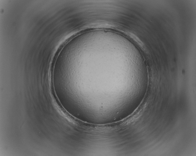 X0000068750840200605010934