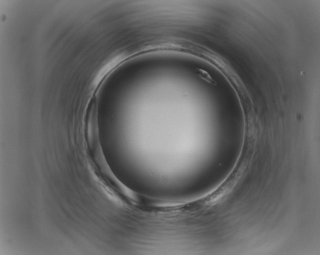 X0000068750858200605010934