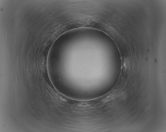 X0000068750867200605010934