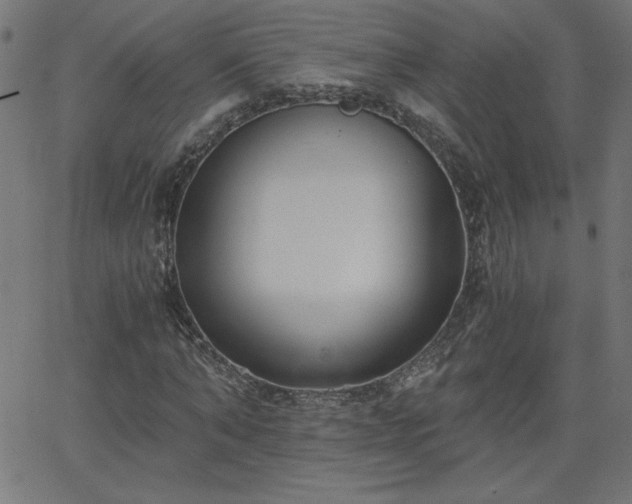 X0000068750870200605010934