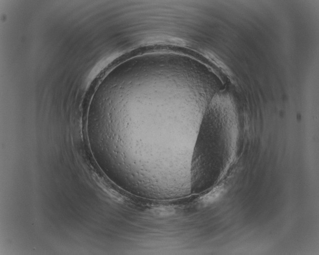 X0000068750877200605010933