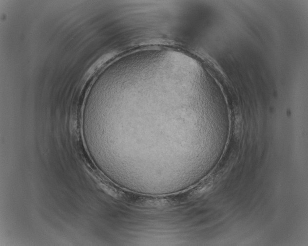 X0000068750882200605010933