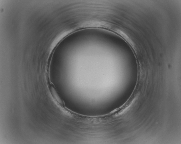 X0000068750901200605010933