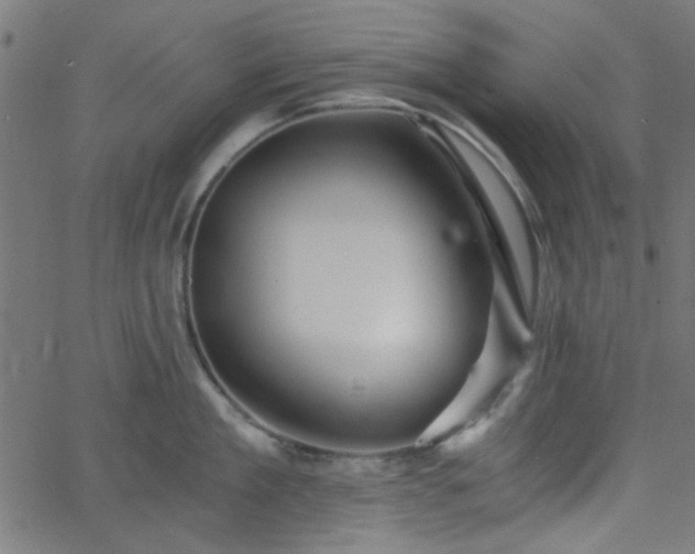 X0000068750909200605010933
