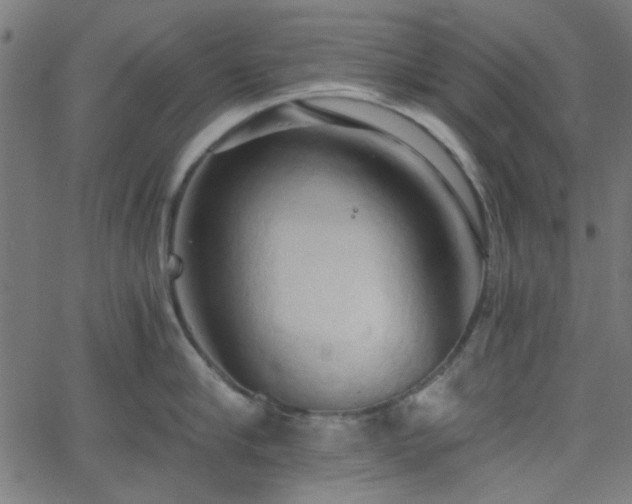 X0000068750910200605010933