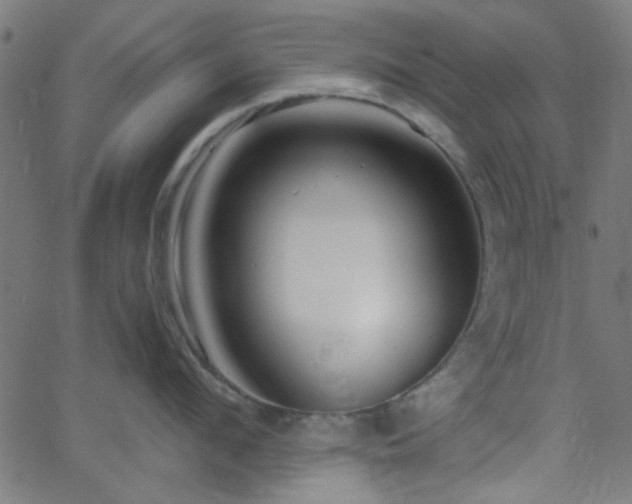 X0000068750912200605010933