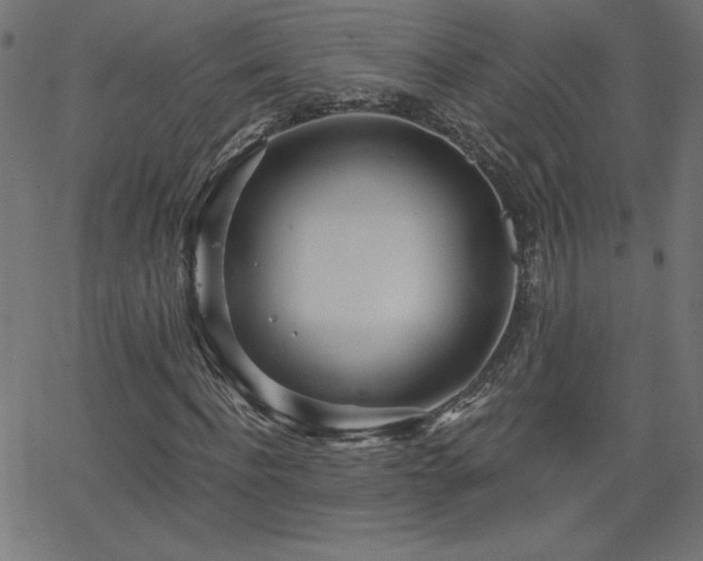 X0000068750916200605010932