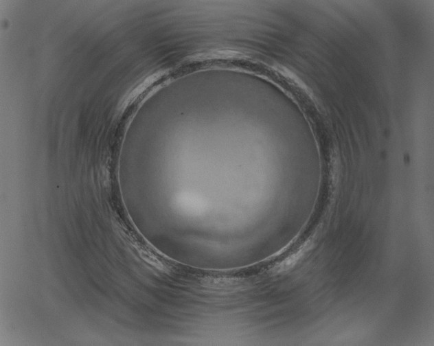 X0000068750921200605010932