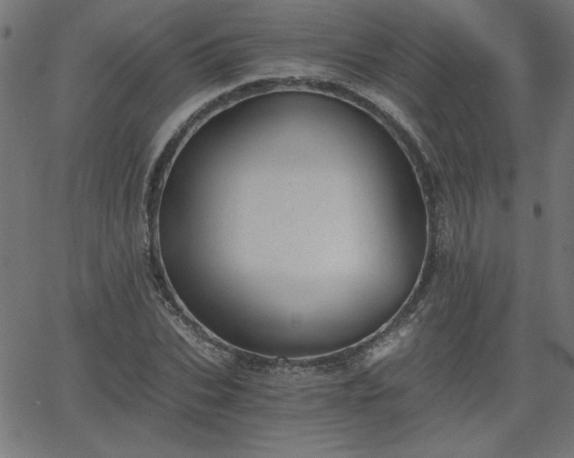 X0000068750927200605010932