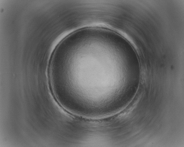 X0000068750959200605010933