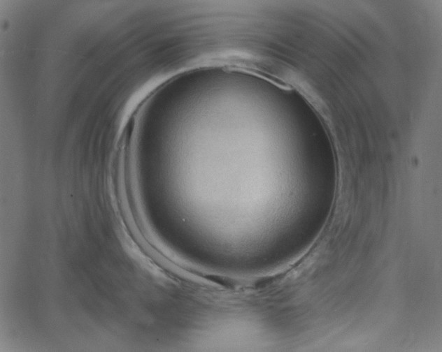 X0000068750960200605010933