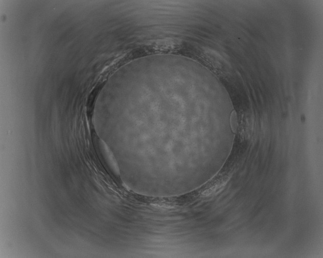 X0000068750962200605010932