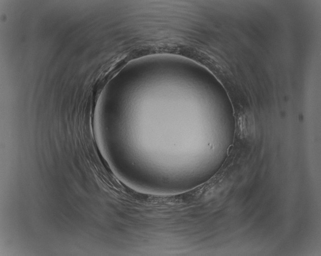 X0000068750963200605010932