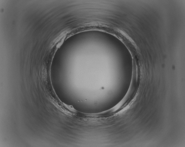 X0000068750969200605010932