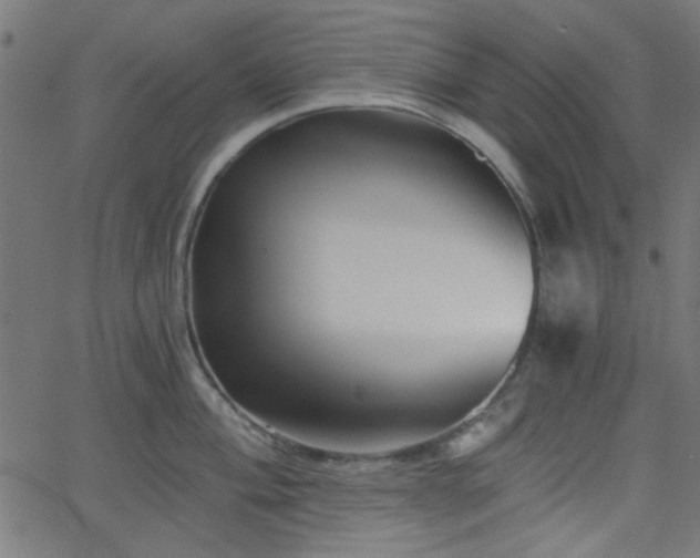 X0000068751004200605010931