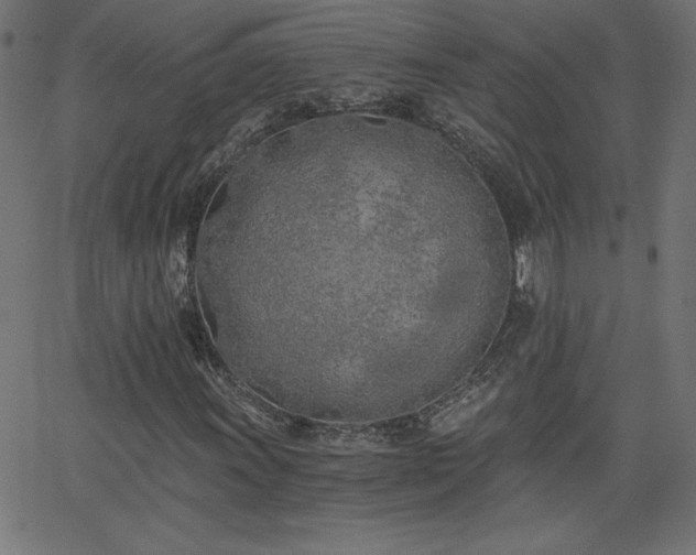 X0000068751011200605010930