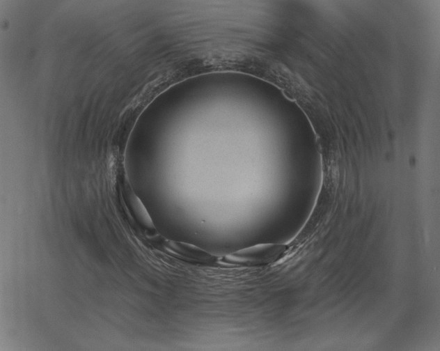 X0000068751012200605010930