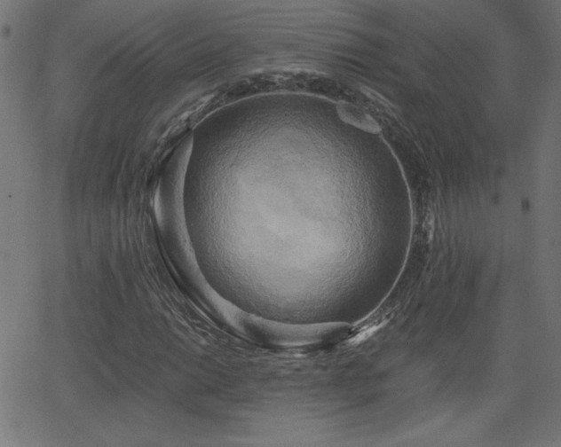 X0000068751014200605010930