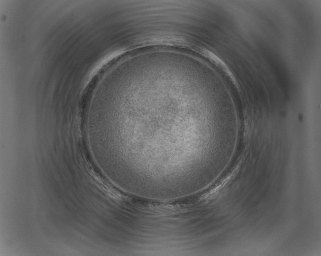 X0000068751019200605010931