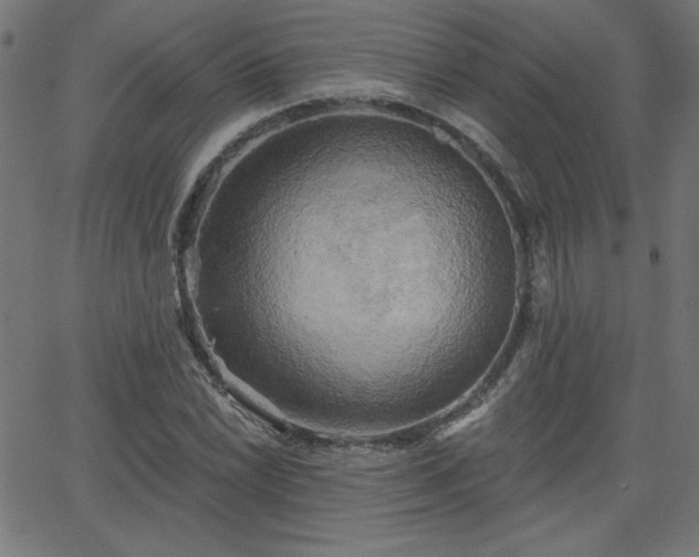 X0000068751022200605010931