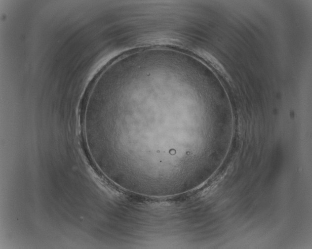X0000068751031200605010931