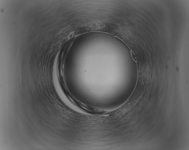X0000068751058200605010930