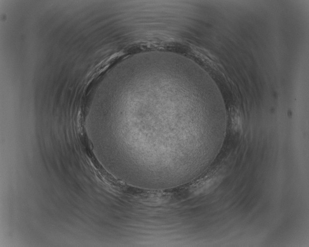 X0000068751060200605010930