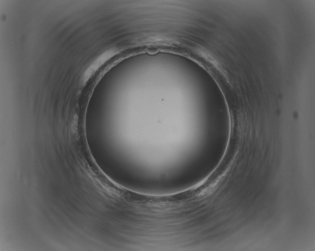 X0000068751066200605010930