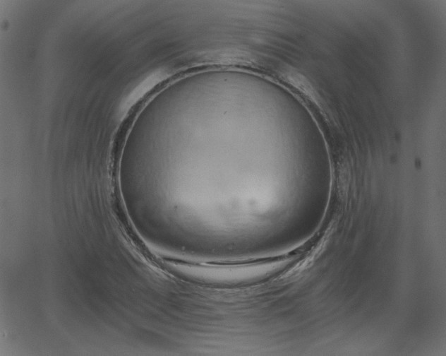 X0000068751071200605010930