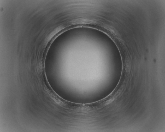 X0000068751073200605010930