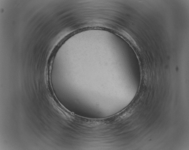 X0000068751076200605010930