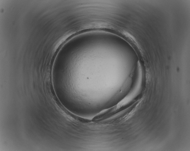 X0000068751081200605010930
