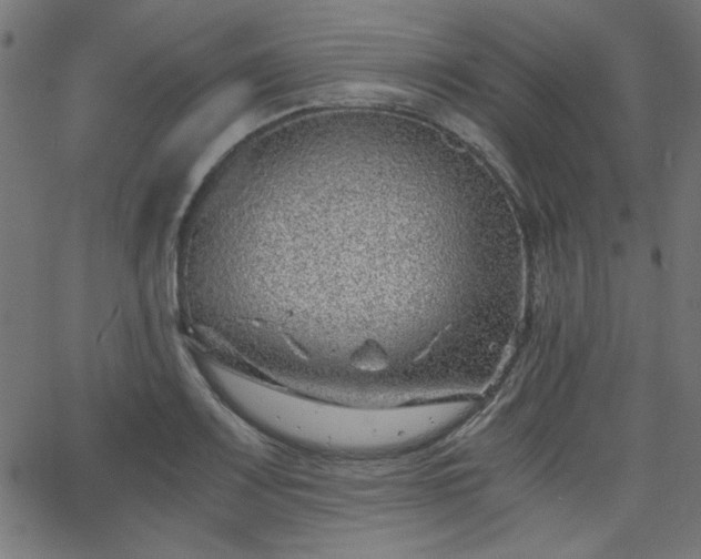 X0000068751083200605010930