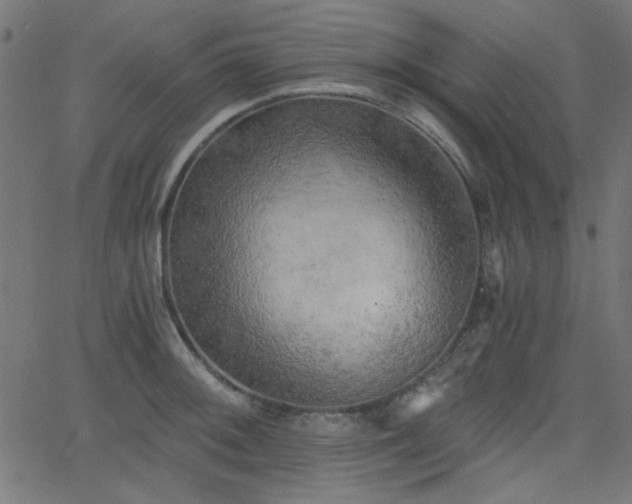 X0000068751092200605010930