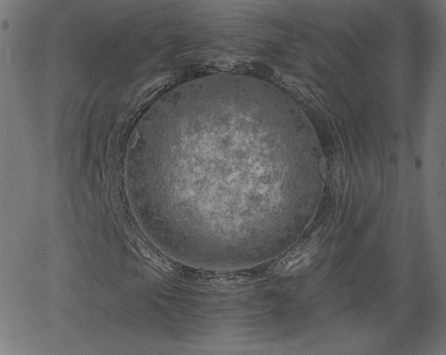 X0000068751105200605010929