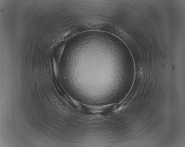 X0000068751108200605010929