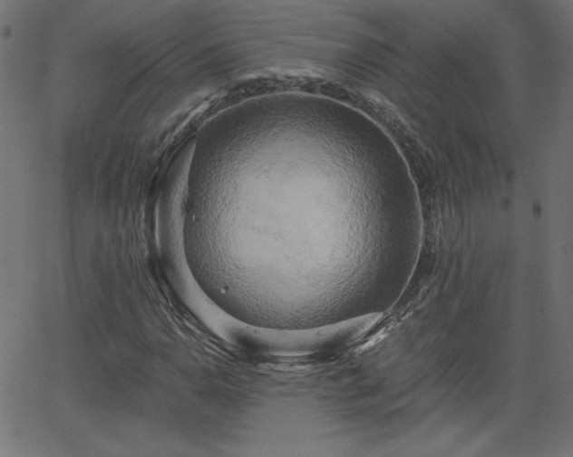 X0000068751110200605010929