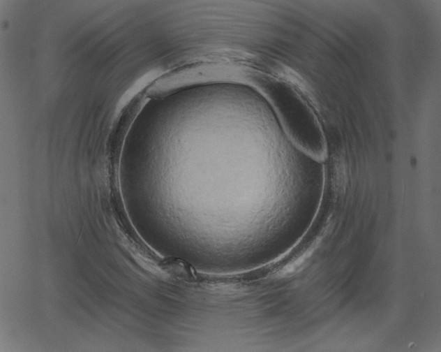 X0000068751114200605010929