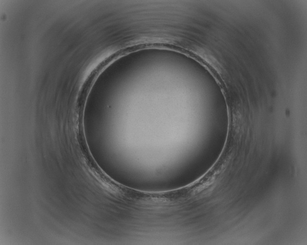 X0000068751119200605010929